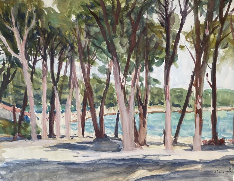 Porquerolles, la plage d’argent Pierre DEVAL