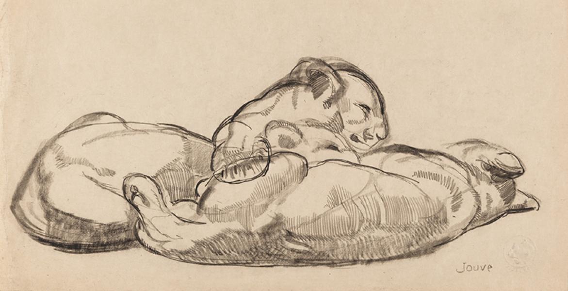 Deux panthères couchées