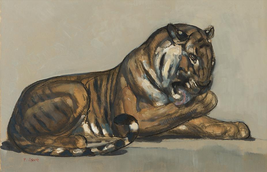 Tigre couché se léchant la patte, vers 1922