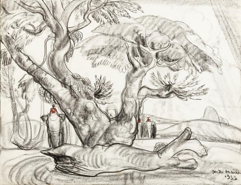 Vietnam, les éléphants sous un grand arbre, 1955 André MAIRE